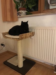 IMG_2716.jpg IMG_2716.jpg