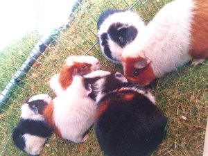 image11u4gqmbt5o.jpg image11u4gqmbt5o.jpg