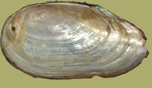 IMG_4061-IMG_4082b.jpg IMG_4061-IMG_4082b.jpg