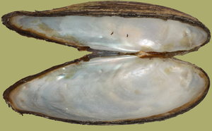 IMG_4061-IMG_4082d.jpg IMG_4061-IMG_4082d.jpg