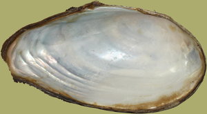 IMG_4084-IMG_4091b.jpg IMG_4084-IMG_4091b.jpg