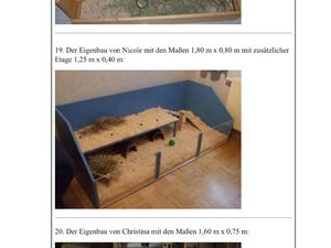 IMG_0170.jpg IMG_0170.jpg