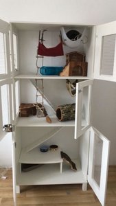 WhatsApp Image 2017-05-08 at 18.22.06 (2).jpg