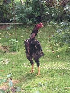 WhatsApp Image 2017-08-31 at 12.40.36.jpg