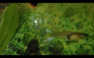 Bildschirmfoto 2017-09-11 um 16.19.10.jpg