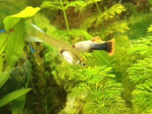 IMG_2630.jpg IMG_2630.jpg