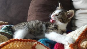 20170927_135750.jpg 20170927_135750.jpg