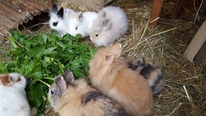 WhatsApp Image 2017-10-11 at 10.23.00 (1).jpg