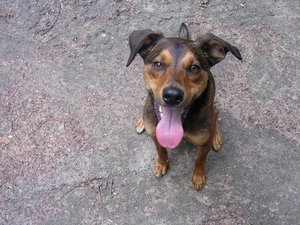 erster versuch 053.jpg