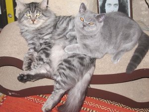 IMG_4003.jpg IMG_4003.jpg