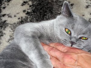 IMG_3974.jpg IMG_3974.jpg