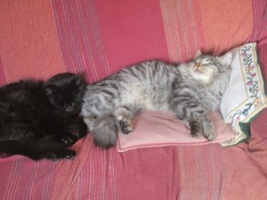 IMG_4016.jpg IMG_4016.jpg