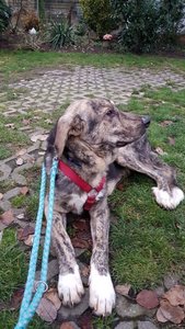 IMG-20171205-WA0014.jpg IMG-20171205-WA0014.jpg