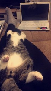 CF2B6706-02B0-491F-BD91-7B74562397BE.jpg CF2B6706-02B0-491F-BD91-7B74562397BE.jpg