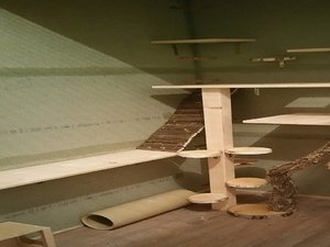 20171018_205748 ( Klein).jpg