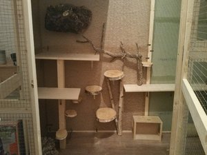 20171018_205758 (Klein).jpg