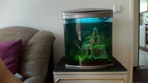 SCHMIDT - WIN_20171218_111643.jpg