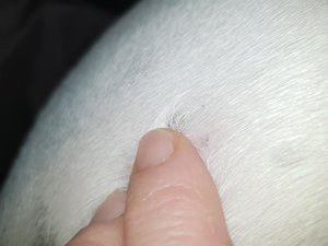 20171219_150006.jpg 20171219_150006.jpg