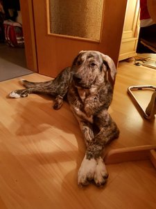 20171217_192621.jpg 20171217_192621.jpg