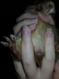 WhatsApp Image 2017-12-30 at 05.19.17.jpg