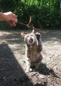 IMG_4515.jpg IMG_4515.jpg