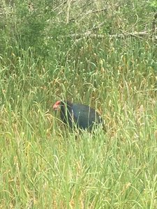 IMG_7763.jpg IMG_7763.jpg