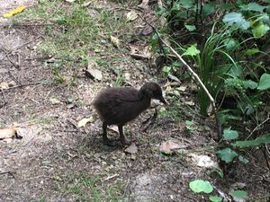 IMG_7723.jpg IMG_7723.jpg