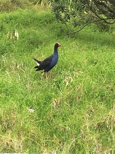 IMG_6791.jpg IMG_6791.jpg