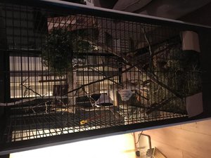 B4E1F044-F55D-4E97-B91A-30A7E12AC5A2.jpg B4E1F044-F55D-4E97-B91A-30A7E12AC5A2.jpg