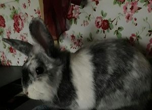 IMG-20171230-WA0004 (1).jpg