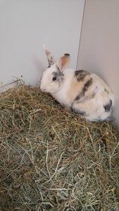 20160715_142040 klein.jpg