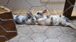 20160415_113641_HDR klein.jpg