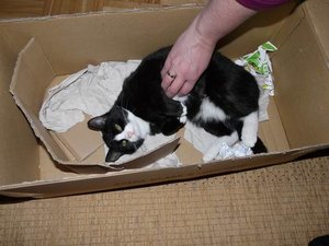 GrÃ¶ÃŸenÃ¤nderung P1040208.JPG