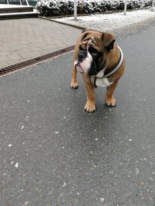 IMG_20180318_083850.jpg IMG_20180318_083850.jpg