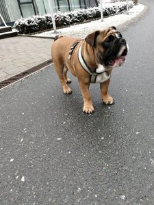 IMG_20180318_083846.jpg IMG_20180318_083846.jpg