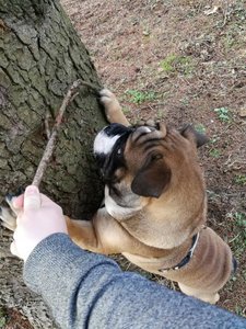 IMG_20180321_161756.jpg IMG_20180321_161756.jpg