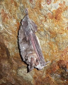 20180331_125346.jpg 20180331_125346.jpg