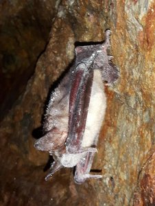 20180331_125356.jpg 20180331_125356.jpg