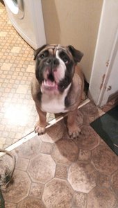 IMG_20180509_234518.jpg IMG_20180509_234518.jpg