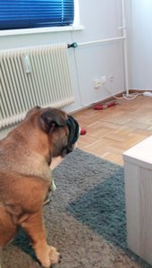 IMG_20180506_174706 (1).jpg IMG_20180506_174706 (1).jpg