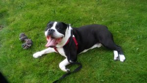 20170718_213748.jpg 20170718_213748.jpg