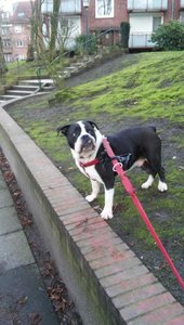 20180201_092716.jpg 20180201_092716.jpg