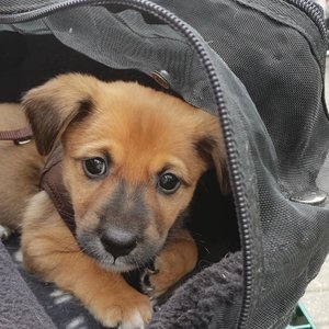 35522858_1055453457953308_6698470942332420096_n.jpg 35522858_1055453457953308_6698470942332420096_n.jpg