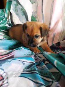 m-konversation-anhang.jpg m-konversation-anhang.jpg