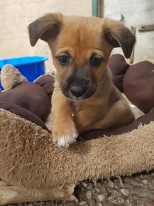 36137322_1063713197127334_4489494692777426944_n.jpg 36137322_1063713197127334_4489494692777426944_n.jpg