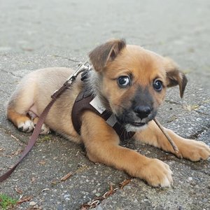 36188335_1063714723793848_5638145612617613312_n.jpg 36188335_1063714723793848_5638145612617613312_n.jpg