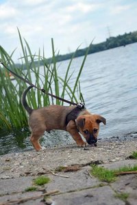 36188338_1063714683793852_767519146945544192_n.jpg 36188338_1063714683793852_767519146945544192_n.jpg