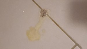 20180720_051516.jpg 20180720_051516.jpg