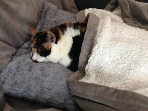 IMG_3911.jpg IMG_3911.jpg