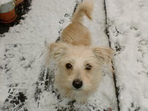 CIMG0116 (Small).JPG